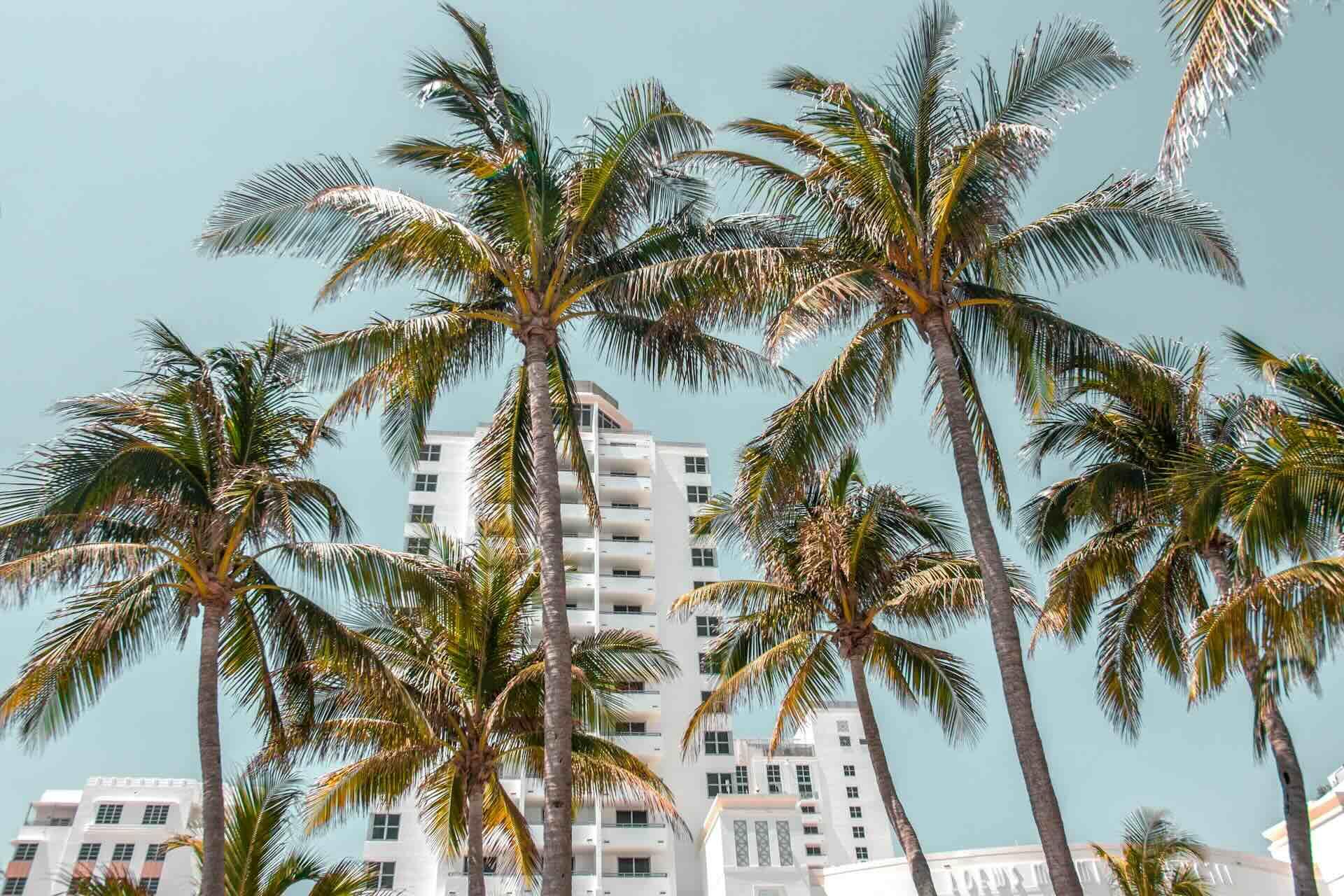 What You Need to Know About Short-Term Rentals