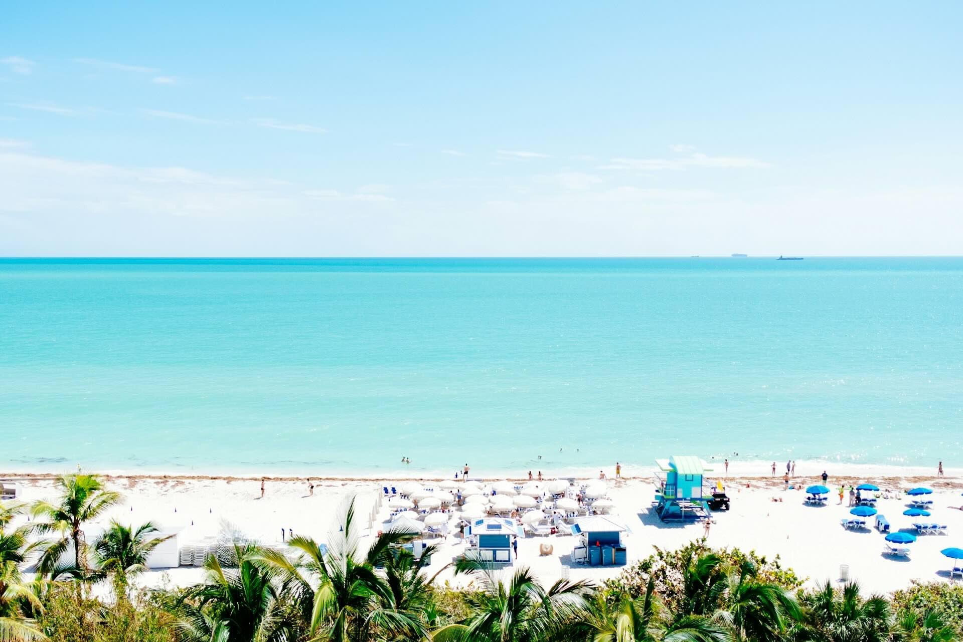 Why Locals Should Stay at the Bleau