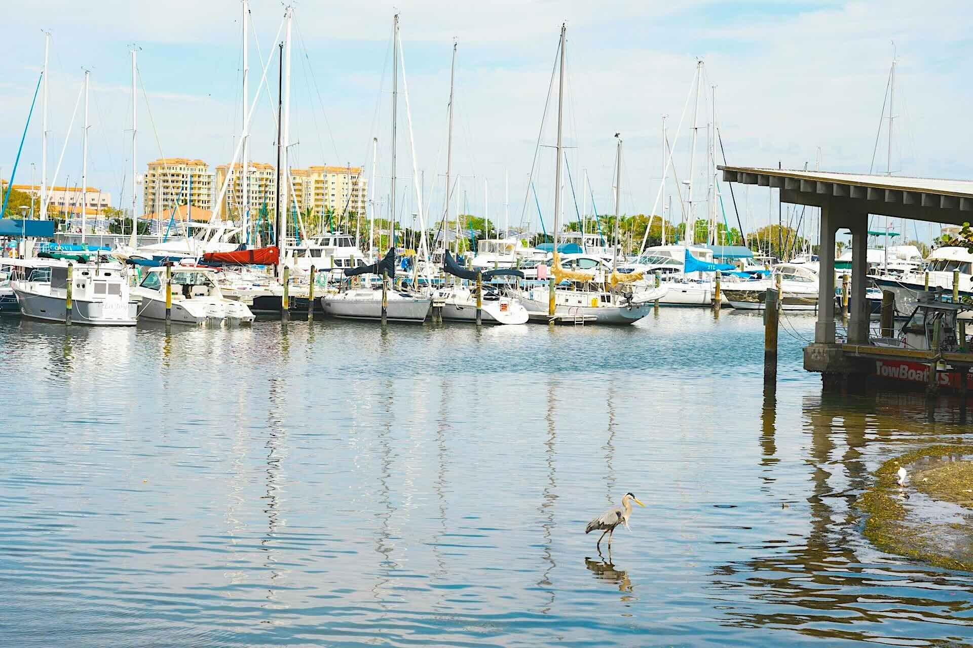 St. Petersburg or Miami: What’s the Better Investment for You