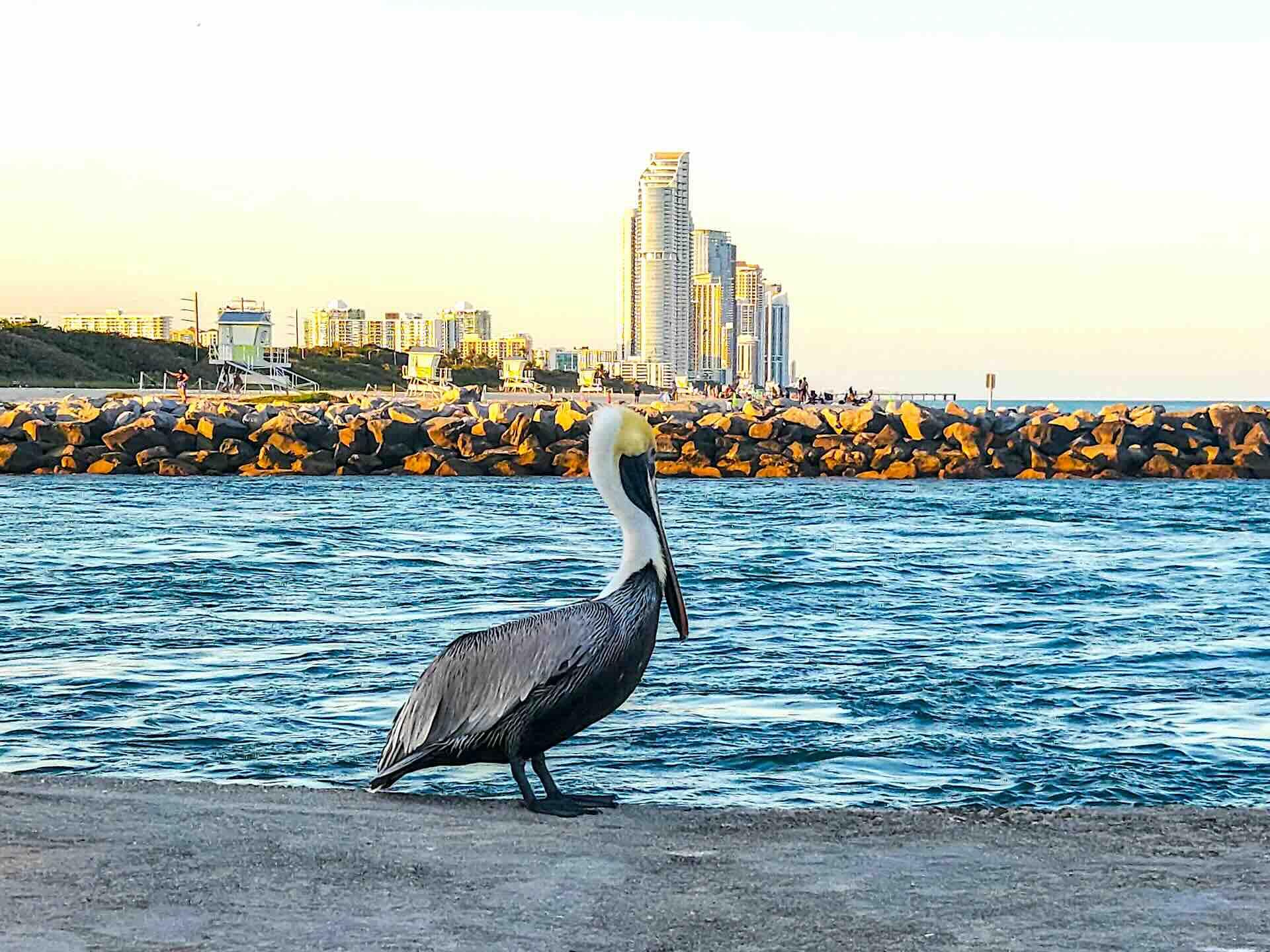 Surfside vs Bal Harbour, Serenity or Convenience