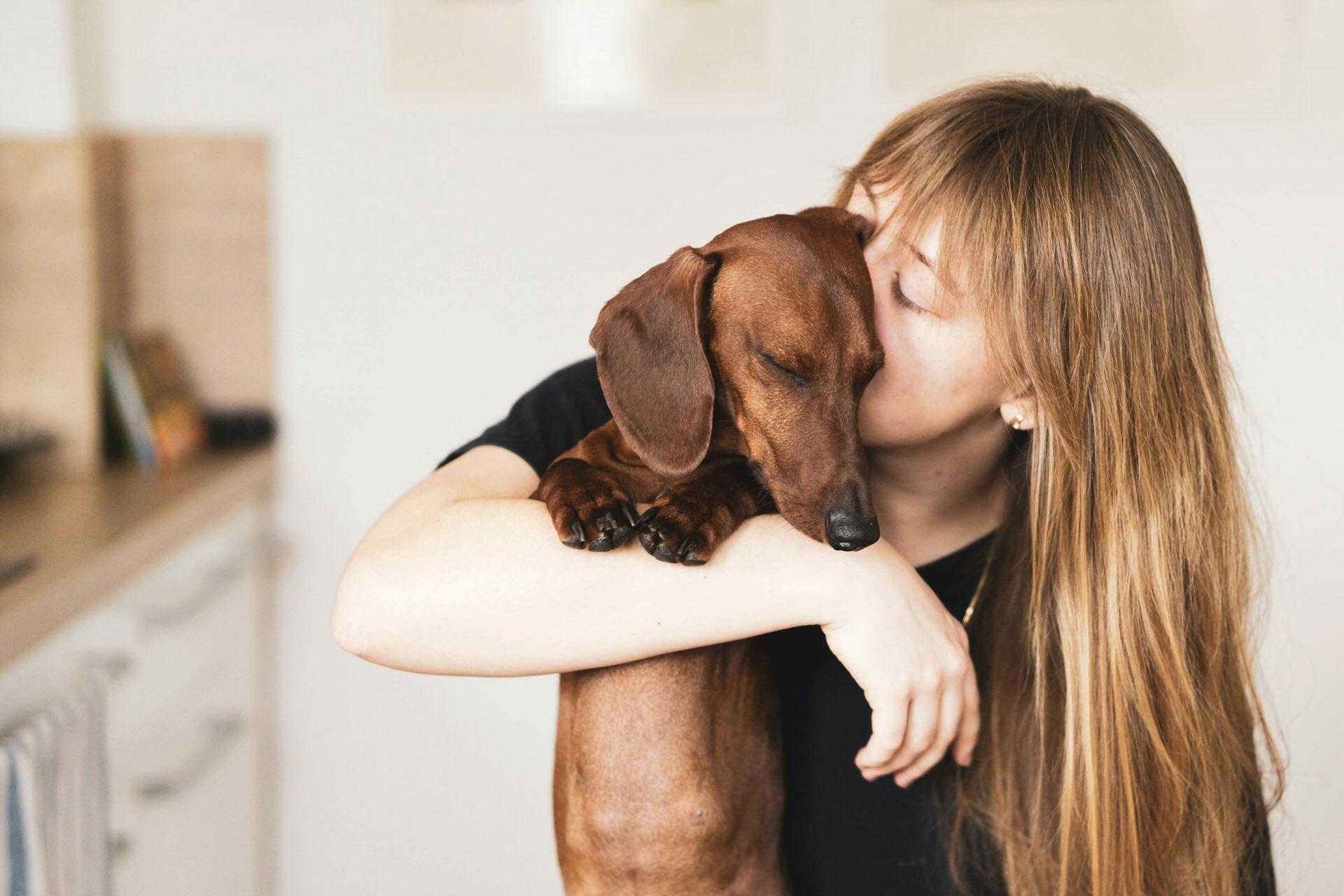 Florida Condo Guide to Emotional Support Animals (ESA)